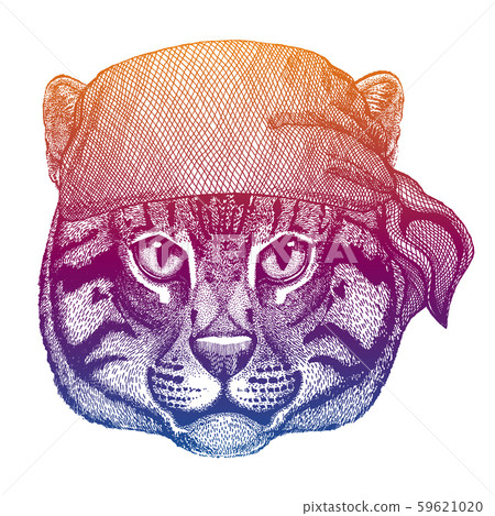 Wild pirate or biker. Vector animal portrait. Sailor, motorcyclist. Print for children clothing, tee Wild pirate or biker. Vector animal portrait. Sailor, motorcyclist. Print for children clothing, tee 59621020