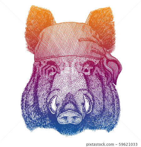 Aper, boar, hog, wild boar. Wild pirate or biker. Vector animal portrait. Sailor, motorcyclist Aper, boar, hog, wild boar. Wild pirate or biker. Vector animal portrait. Sailor, motorcyclist 59621033