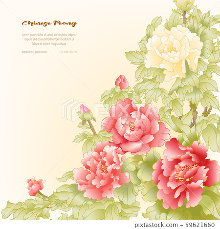 Peony tree branch with flowers Peony tree branch with flowers 59621660
