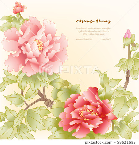 Peony tree branch with flowers - Stock Illustration [59621682] - PIXTA