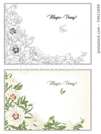 White Peony. Coloring page for the adult coloring book 59621689