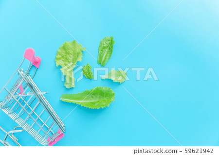Small supermarket grocery push cart for shopping 59621942