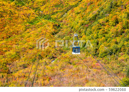 <富山縣>黑部平和立山黑部阿爾卑斯山脈的紅葉 59622088