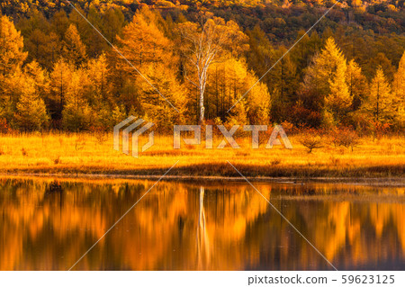 《 To木縣》秋天的奧庫日光/大行郎原《幻影大行郎》 59623125