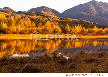 《 To木縣》秋天的奧庫日光/大行郎原《幻影大行郎》 59623129