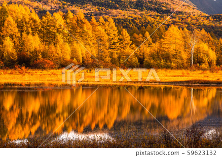 《 To木縣》秋天的奧庫日光/大行郎原《幻影大行郎》 59623132