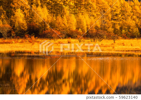《Tochigi Prefecture》 Autumn Oku Nikko/Odashirogahara 《Phantom Lake Odashiro》 59623140