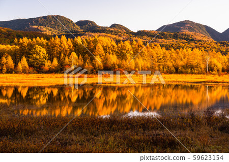 《 To木縣》秋天的奧庫日光/大行郎原《幻影大行郎》 59623154