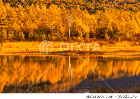 《 To木縣》秋天的奧庫日光/大行郎原《幻影大行郎》 59623170
