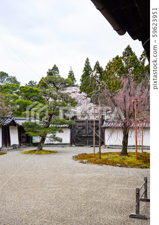 Daigoji Sanjoin Daigoji Sanjoin 59623951