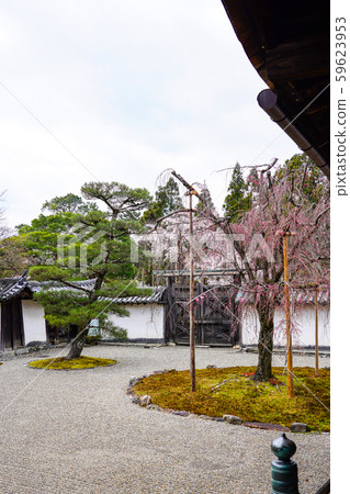 Daigoji Sanjoin Daigoji Sanjoin 59623953
