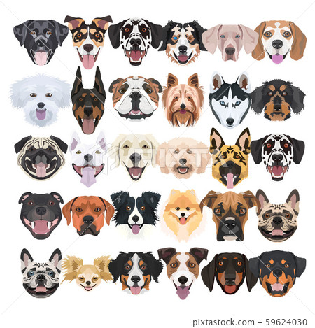 Illustration, Many laughing and pretty dogs Illustration, Many laughing and pretty dogs 59624030