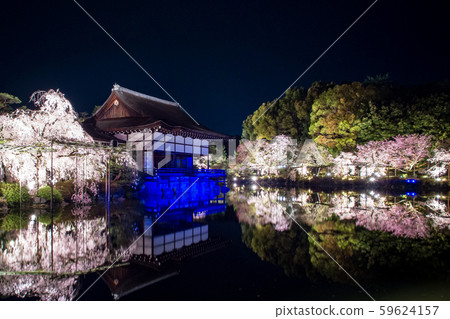 Heian Shrine-Red Weeping Concert 59624157