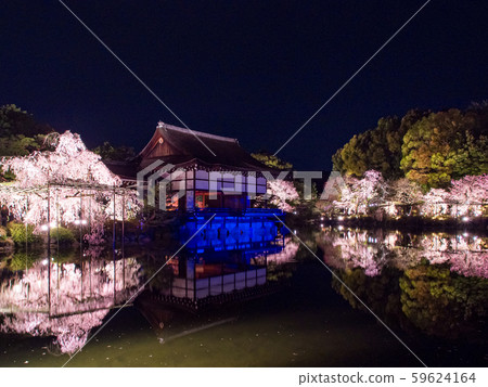 平安神宮-紅色哭泣音樂會 59624164