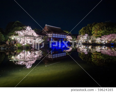 Heian Shrine-Red Weeping Concert 59624165