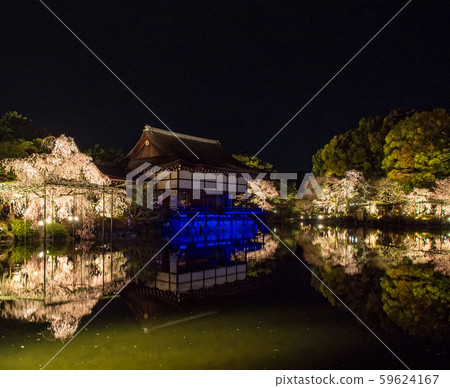 Heian Shrine-Red Weeping Concert 59624167