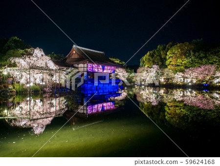 Heian Shrine-Red Weeping Concert Heian Shrine-Red Weeping Concert 59624168