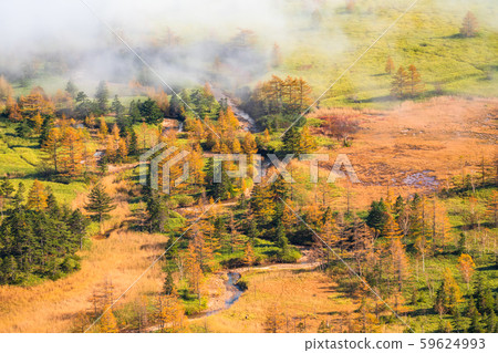 《Gunma Prefecture》Autumn Shibutoge/Shiga Kogen 《Gunma Prefecture》Autumn Shibutoge/Shiga Kogen 59624993