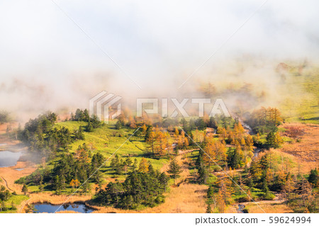 《Gunma Prefecture》Autumn Shibutoge/Shiga Kogen 《Gunma Prefecture》Autumn Shibutoge/Shiga Kogen 59624994