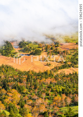 《Gunma Prefecture》Autumn Shibutoge/Shiga Kogen 《Gunma Prefecture》Autumn Shibutoge/Shiga Kogen 59624995