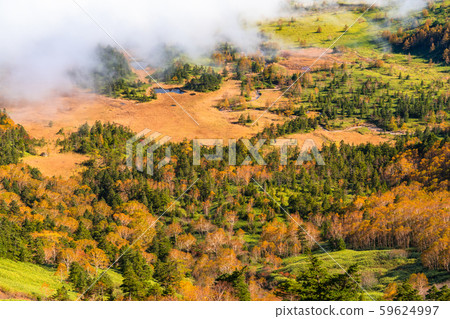 《Gunma Prefecture》Autumn Shibutoge/Shiga Kogen 59624997