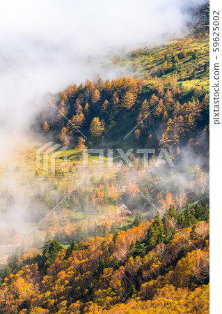《Gunma Prefecture》Autumn Shibutoge/Shiga Kogen 《Gunma Prefecture》Autumn Shibutoge/Shiga Kogen 59625002