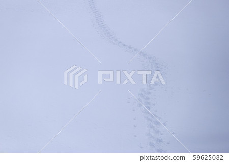 Footsteps 59625082