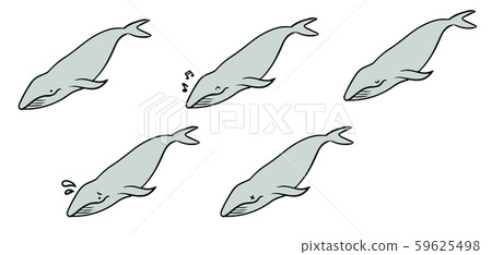Simple whale illustration set 59625498