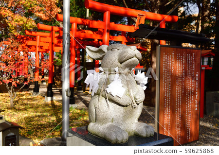 於深秋拍攝北海道函館市湯川市的由倉神社區域 59625868