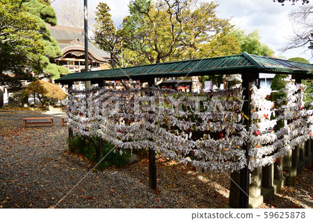 Taking pictures of the Yukura Shrine precincts in Yunokawa, Hakodate City, Hokkaido in late autumn Taking pictures of the Yukura Shrine precincts in Yunokawa, Hakodate City, Hokkaido in late autumn 59625878
