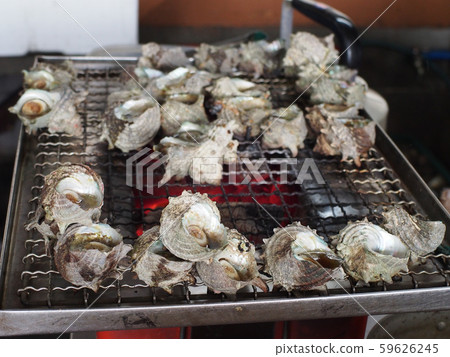 哈多角的Sazae Hut 哈多角的Sazae Hut 59626245
