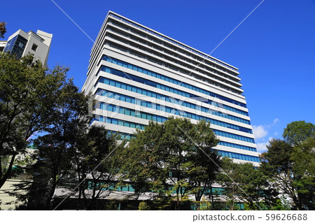 November Shibuya 1 Shibuya Cast Stock Photo November Shibuya 1 Shibuya Cast Stock Photo
