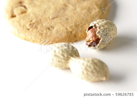 Peanut cookie 59626785