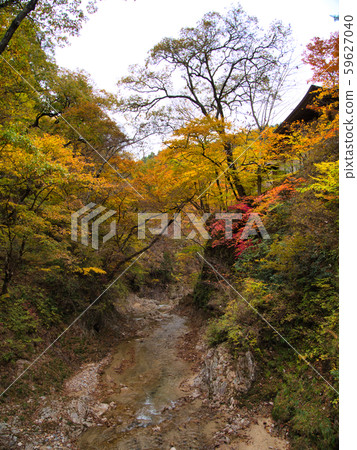 Autumn leaves of Okukuji Prefectural Nature Park 59627040