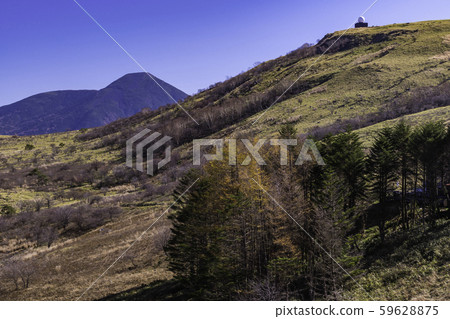 (Nagano) Kirigamine Kogen, Mt. 59628875