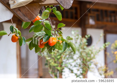 Autumn landscape 59628895