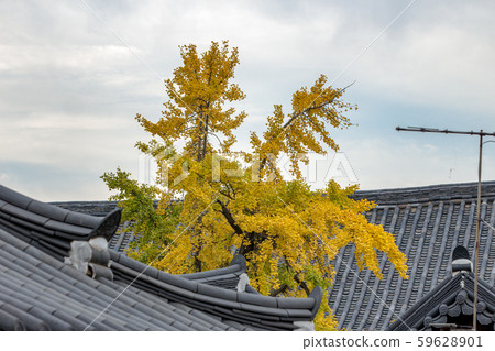 秋天的風景 秋天的風景 59628901