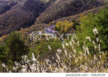(Nagano) Autumn colors of resort area, Kuramayama Kogen 59629100