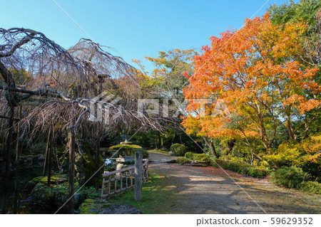 Yoshino Takerinin Garden Yoshino Takerinin Garden 59629352
