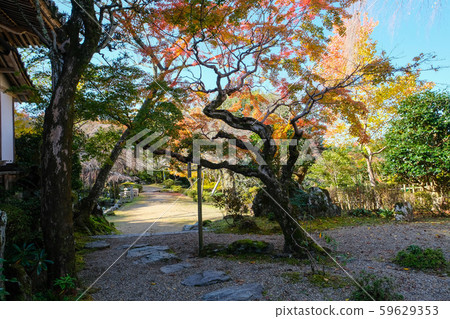 Yoshino Takerinin Gunpoen 59629353