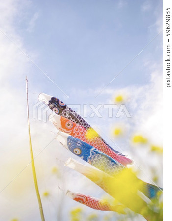 鯉魚旗 鯉魚旗 59629835