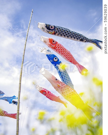 鯉魚旗 鯉魚旗 59629839