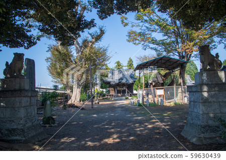 Kashima Shrine precincts Fukaya 59630439