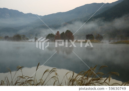 水霧針掉落! 水霧針掉落! 59630749