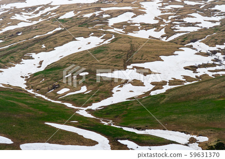 Lago Naki - the tree and nature in Caucasus Lago Naki - the tree and nature in Caucasus 59631370