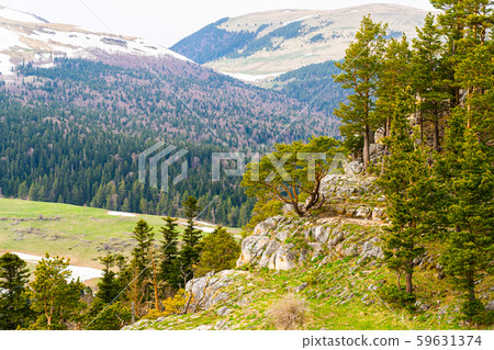 Lago Naki - the tree and nature in Caucasus Lago Naki - the tree and nature in Caucasus 59631374