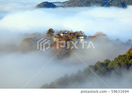 天體城堡6895 59631694