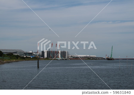 Tama River Estuary 59631840