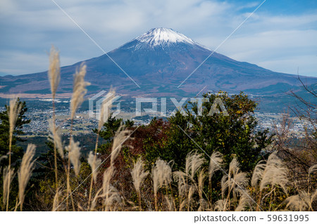 Mt. Fuji in autumn 59631995