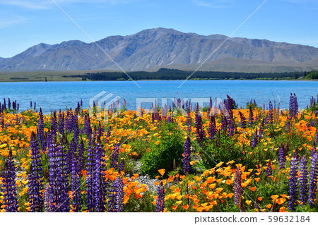 Lake Tekapo 59632184